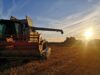 BFA Starke Landwirtschaft und lebenswerte ländliche Räume