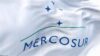 Mercosur-Abkommen Logo